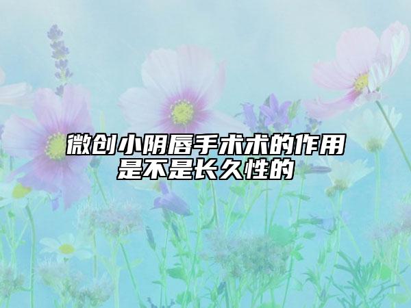 微创小阴唇手术术的作用是不是长久性的
