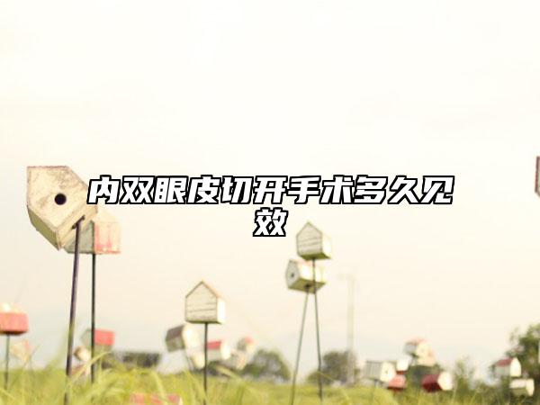 内双眼皮切开手术多久见效