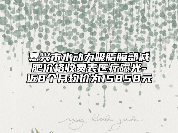 嘉兴市水动力吸脂腹部减肥价格收费表医疗曝光-近8个月均价为15858元