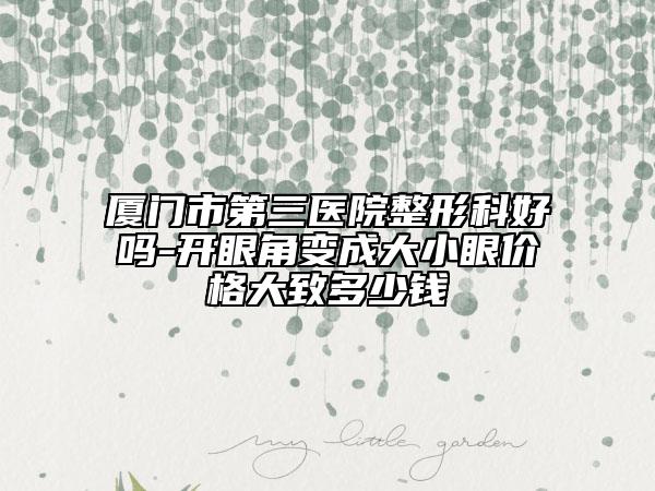 厦门市第三医院整形科好吗-开眼角变成大小眼价格大致多少钱
