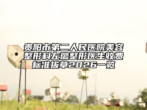 贵阳市第二人民医院美容整形科左璐整形医生收费标准拔草2026一览