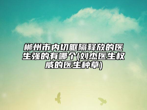 郴州市内切眶隔释放的医生强的有哪个(刘杰医生权威的医生种草)