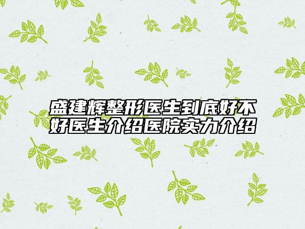 盛建辉整形医生到底好不好医生介绍医院实力介绍