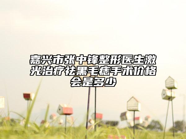 嘉兴市张中锋整形医生激光治疗祛黑毛痣手术价格会是多少