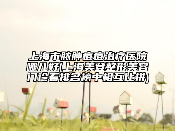 上海市脓肿痘痘治疗医院哪儿好(上海美登整形美容门诊看排名榜中相互比拼)