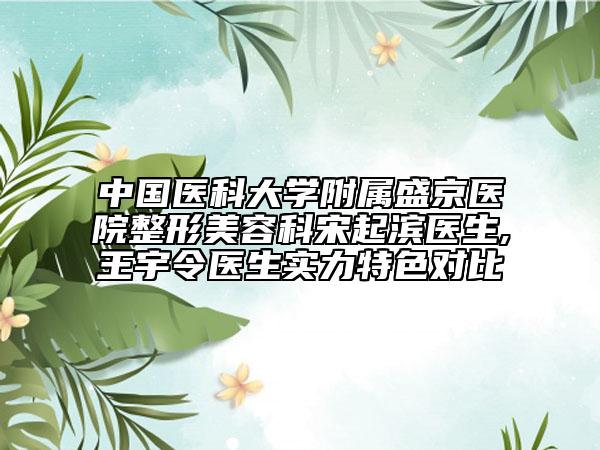 中国医科大学附属盛京医院整形美容科宋起滨医生,王宇令医生实力特色对比