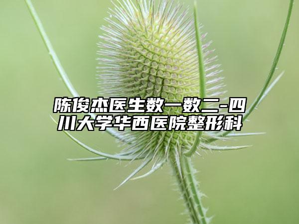 陈俊杰医生数一数二-四川大学华西医院整形科