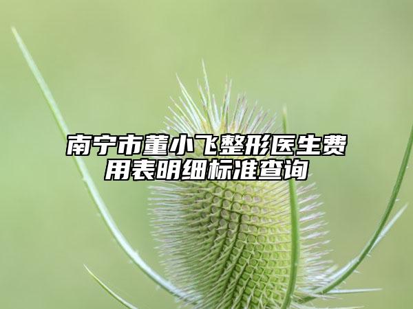 南宁市董小飞整形医生费用表明细标准查询