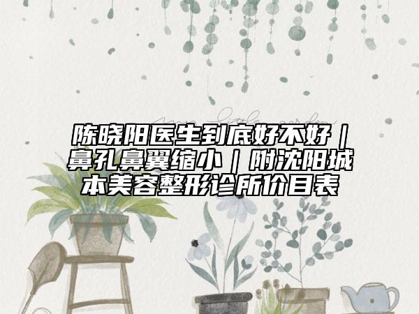 陈晓阳医生到底好不好｜鼻孔鼻翼缩小｜附沈阳城本美容整形诊所价目表