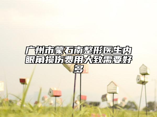 广州市蒙石南整形医生内眼角损伤费用大致需要好多