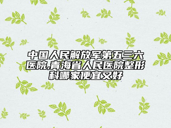 中国人民解放军第五三六医院,青海省人民医院整形科哪家便宜又好