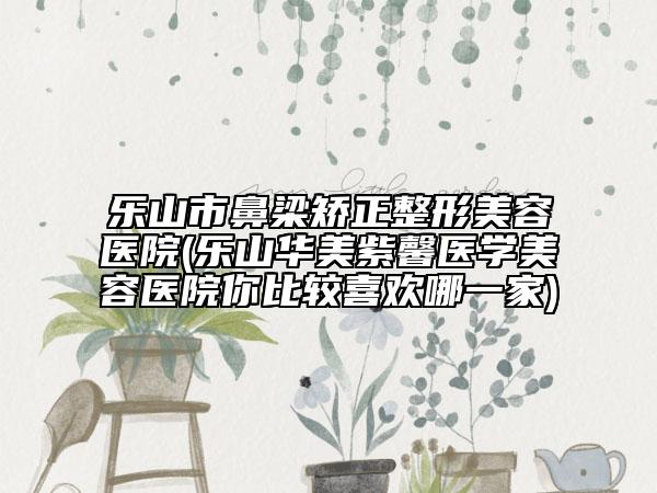 乐山市鼻梁矫正整形美容医院(乐山华美紫馨医学美容医院你比较喜欢哪一家)