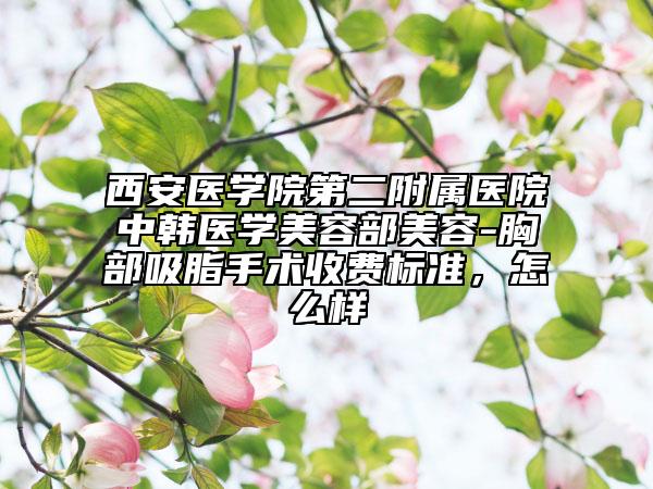 西安医学院第二附属医院中韩医学美容部美容-胸部吸脂手术收费标准，怎么样