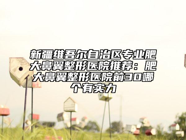 新疆维吾尔自治区专业肥大鼻翼整形医院推荐：肥大鼻翼整形医院前30哪个有实力
