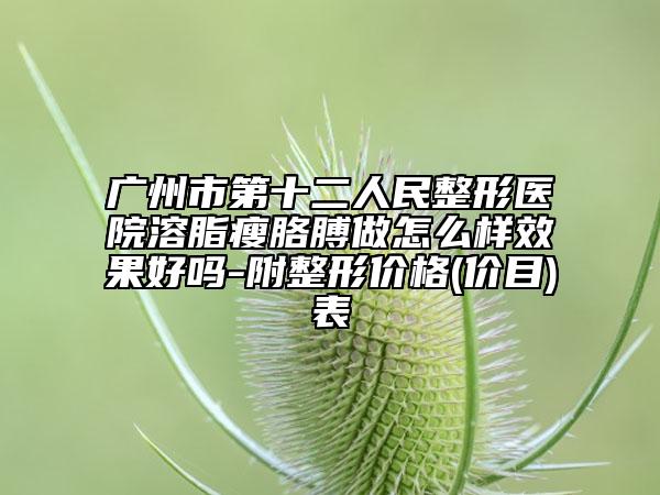 广州市第十二人民整形医院溶脂瘦胳膊做怎么样效果好吗-附整形价格(价目)表