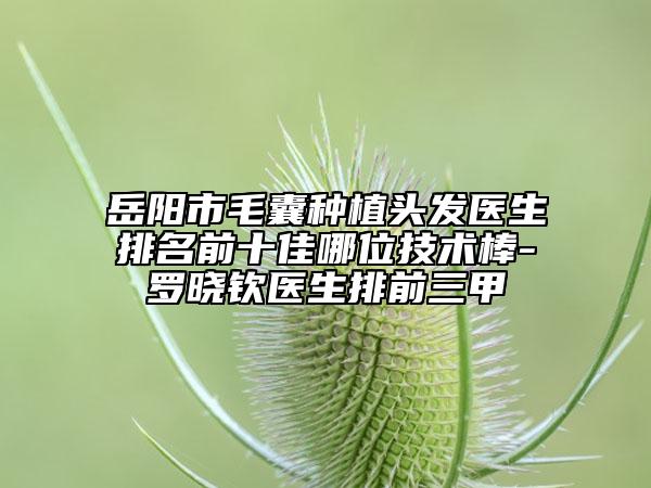 岳阳市毛囊种植头发医生排名前十佳哪位技术棒-罗晓钦医生排前三甲