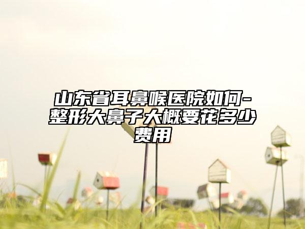 山东省耳鼻喉医院如何-整形大鼻子大概要花多少费用