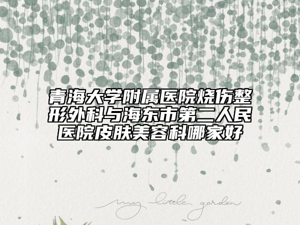 青海大学附属医院烧伤整形外科与海东市第二人民医院皮肤美容科哪家好