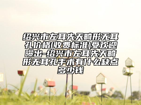 绍兴市左耳先天畸形无耳孔价格(收费标准)受欢迎曝出-绍兴市左耳先天畸形无耳孔手术有什么缺点多少钱
