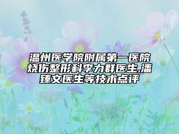 温州医学院附属第一医院烧伤整形科李力群医生,潘臻文医生等技术点评