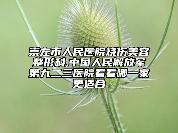 崇左市人民医院烧伤美容整形科,中国人民解放军第九二三医院看看哪一家更适合