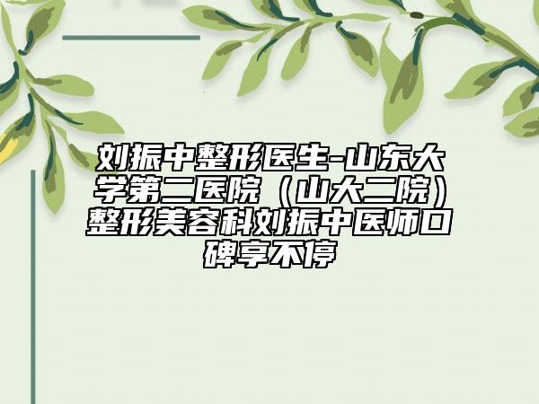 刘振中整形医生-山东大学第二医院（山大二院）整形美容科刘振中医师口碑享不停