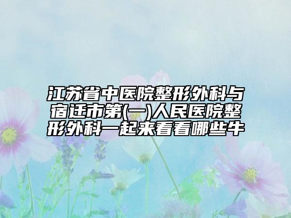 江苏省中医院整形外科与宿迁市第(一)人民医院整形外科一起来看看哪些牛