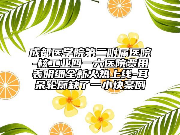 成都医学院第二附属医院-核工业四一六医院费用表明细全新火热上线-耳朵轮廓缺了一小块案例