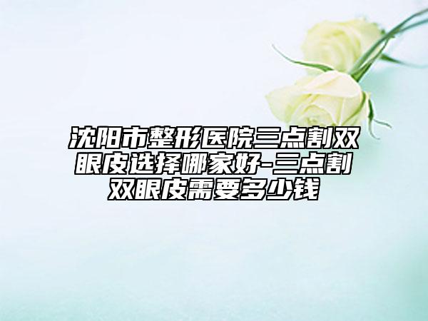 沈阳市整形医院三点割双眼皮选择哪家好-三点割双眼皮需要多少钱