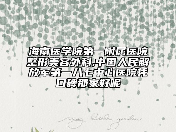 海南医学院第一附属医院整形美容外科,中国人民解放军第一八七中心医院凭口碑那家好呢