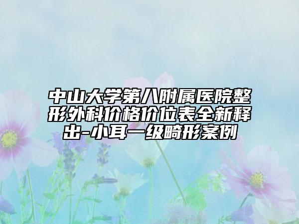中山大学第八附属医院整形外科价格价位表全新释出-小耳一级畸形案例