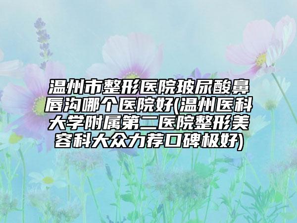 温州市整形医院玻尿酸鼻唇沟哪个医院好(温州医科大学附属第二医院整形美容科大众力荐口碑极好)