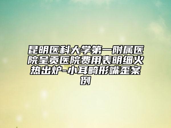 昆明医科大学第一附属医院呈贡医院费用表明细火热出炉-小耳畸形嘴歪案例