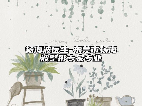 杨海波医生-东莞市杨海波整形专家专业