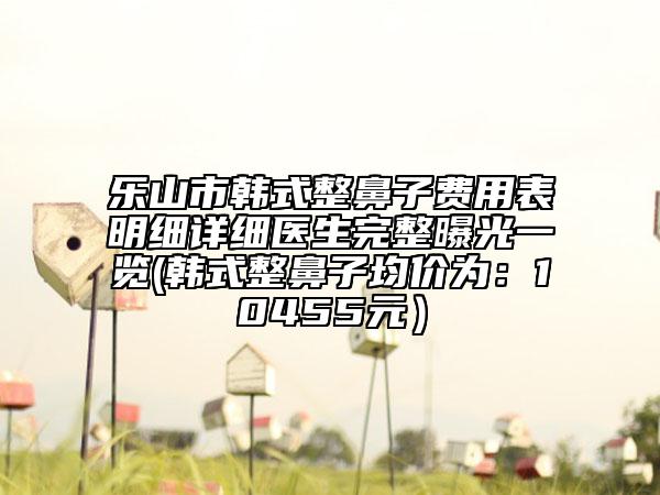 乐山市韩式整鼻子费用表明细详细医生完整曝光一览(韩式整鼻子均价为：10455元）