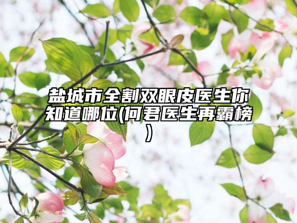 盐城市全割双眼皮医生你知道哪位(何君医生再霸榜)