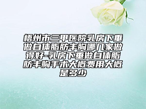 梧州市三甲医院乳房下垂做自体脂肪丰胸哪几家做得好-乳房下垂做自体脂肪丰胸手术大概费用大概是多少