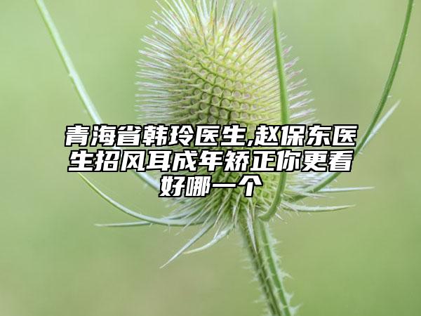 青海省韩玲医生,赵保东医生招风耳成年矫正你更看好哪一个