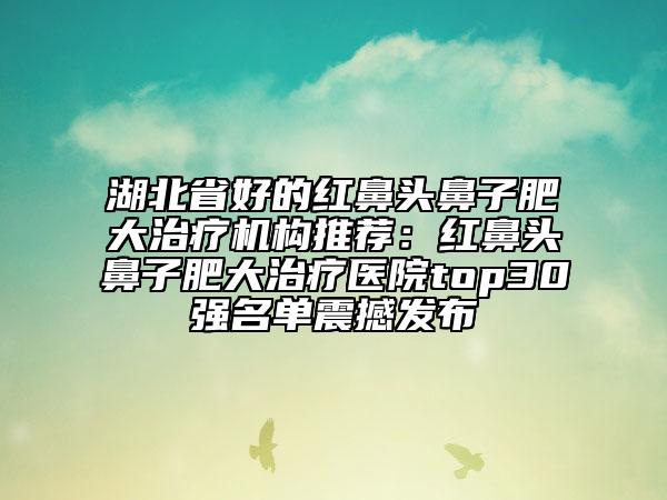 湖北省好的红鼻头鼻子肥大治疗机构推荐：红鼻头鼻子肥大治疗医院top30强名单震撼发布