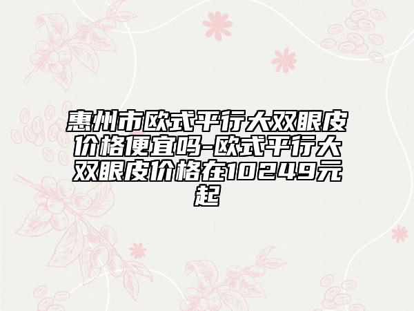 惠州市欧式平行大双眼皮价格便宜吗-欧式平行大双眼皮价格在10249元起