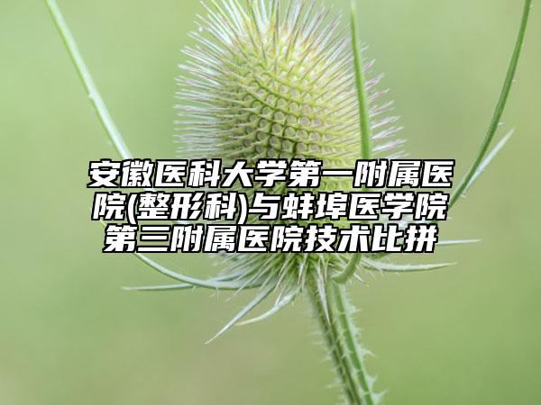 安徽医科大学第一附属医院(整形科)与蚌埠医学院第三附属医院技术比拼