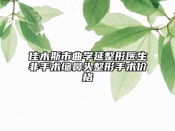 佳木斯市曲学延整形医生非手术缩鼻头整形手术价格