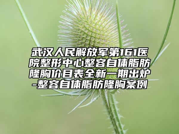 武汉人民解放军第161医院整形中心整容自体脂肪隆胸价目表全新一期出炉-整容自体脂肪隆胸案例