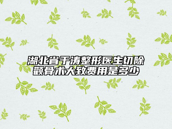 湖北省于涛整形医生切除颧骨术大致费用是多少
