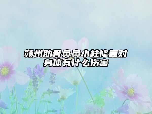 赣州肋骨鼻鼻小柱修复对身体有什么伤害