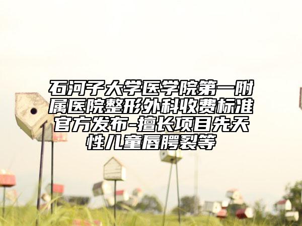 石河子大学医学院第一附属医院整形外科收费标准官方发布-擅长项目先天性儿童唇腭裂等