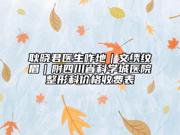 耿晓君医生咋地|文绣纹眉|附四川省科学城医院整形科价格收费表