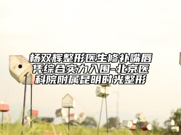 杨双辉整形医生修补嘴唇凭综合实力入围-北京医科院附属昆明时光整形