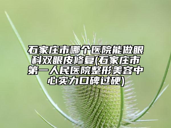 石家庄市哪个医院能做眼科双眼皮修复(石家庄市第一人民医院整形美容中心实力口碑过硬)