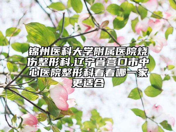 锦州医科大学附属医院烧伤整形科,辽宁省营口市中心医院整形科看看哪一家更适合